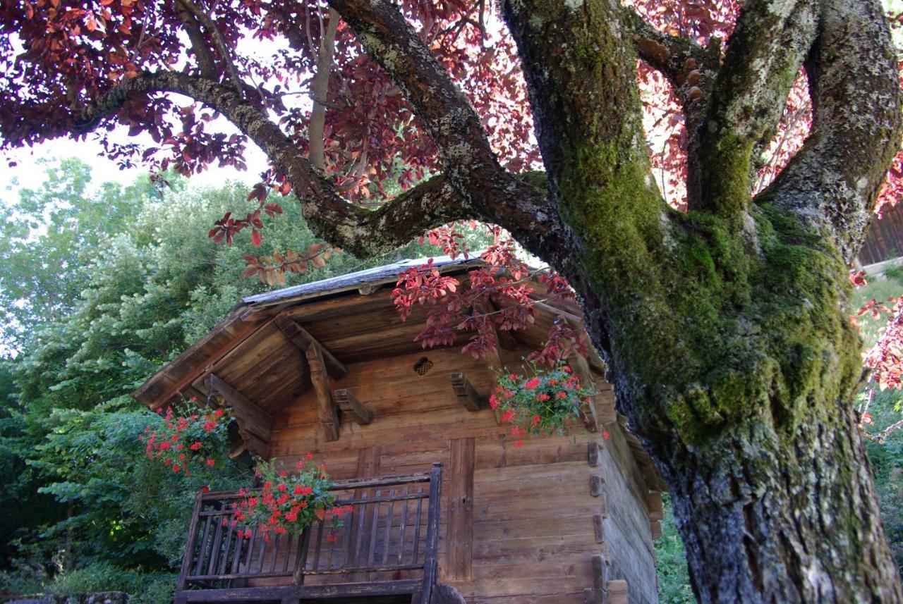 Appart Pointe De Nyon Morzine Centre 4 A 5 Pers Calme Jardin Vue Parking Exterior photo